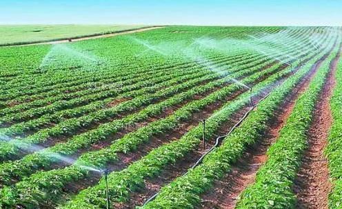 啊啊搔操在线观看农田高 效节水灌溉